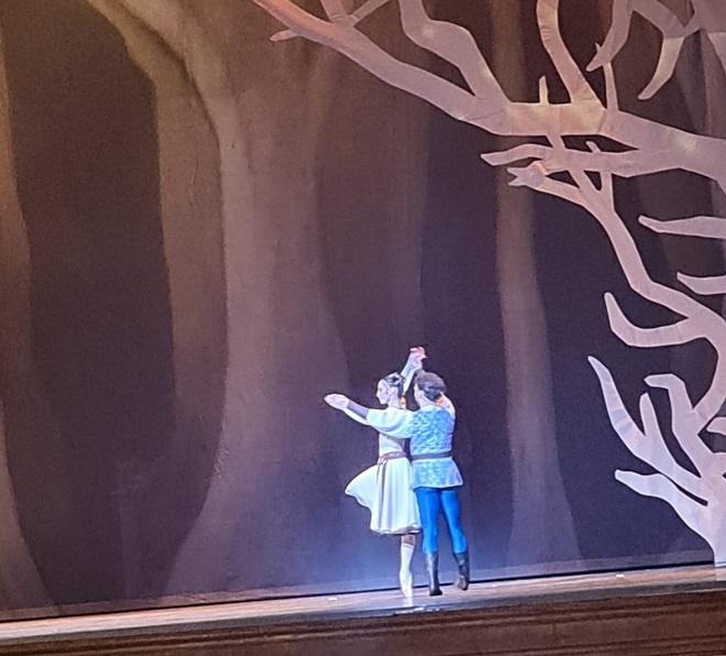 Balletto BIANCANEVE - Martina Pasinotti (11)