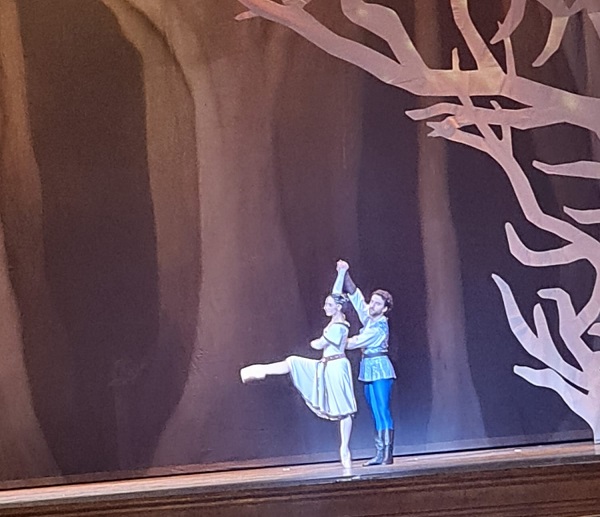 Balletto BIANCANEVE - Martina Pasinotti (12)