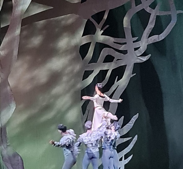 Balletto BIANCANEVE - Martina Pasinotti (17)