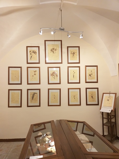 Museo della cultura Arbereshe (2)
