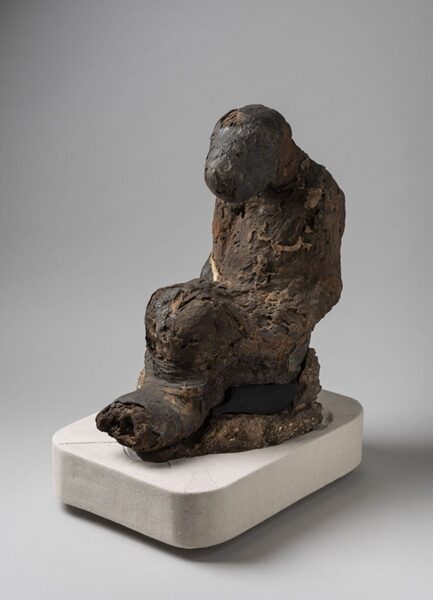 Mummia di babbuino; fonte Museo Egizio di Torino