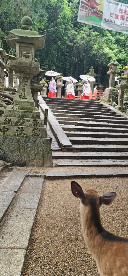 Nara 1
