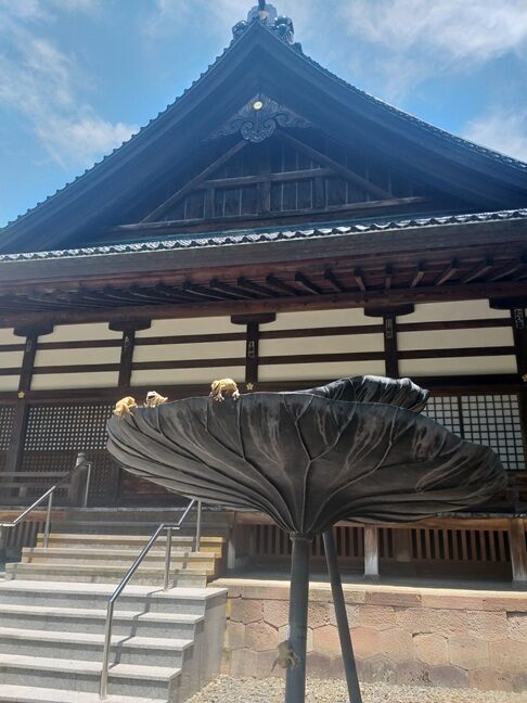 Santuario shintoista a Kanazawa - part.