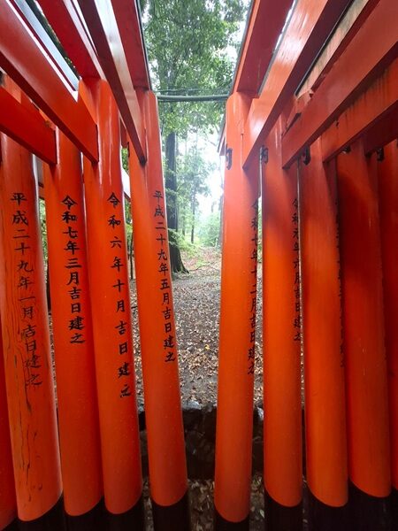 Torii 1
