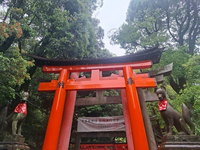 Torii 2