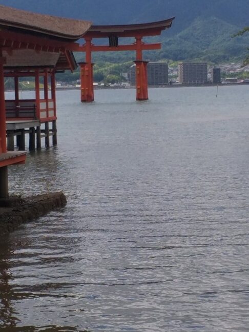 Torii nel mare